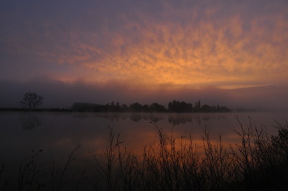 Entre Saône et Grosne